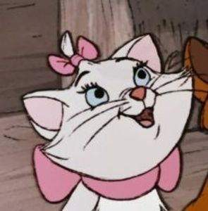 Meet your Posher, Holly